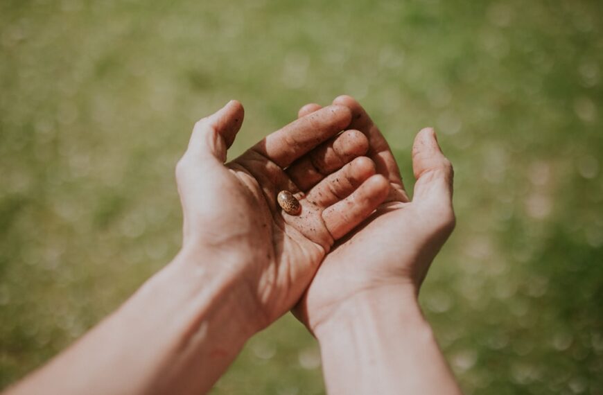 Unlocking Your Potential: The Micro-Habit Revolution